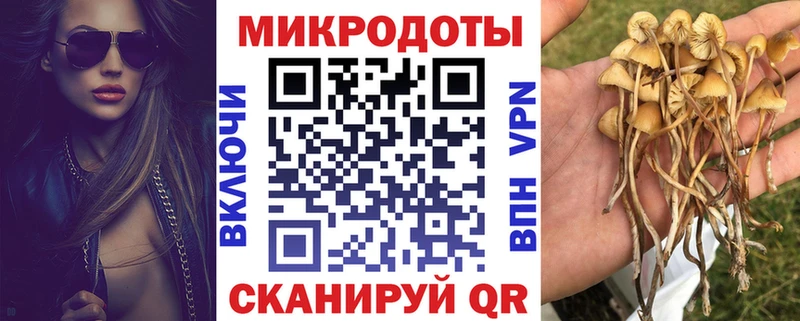 Купить  Шарыпово  Псилоцибиновые грибы Magic Shrooms 